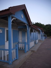P1020233.jpg