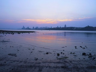 P1020234.jpg