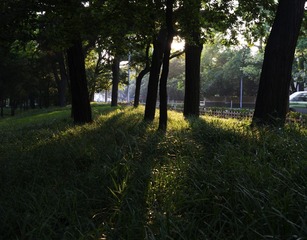 P1020300.jpg