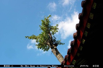最游记 二 61.jpg
