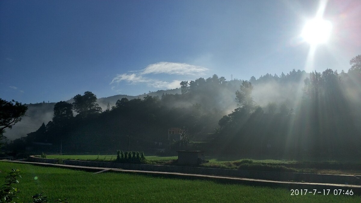 西住流