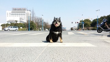 20140303_123923