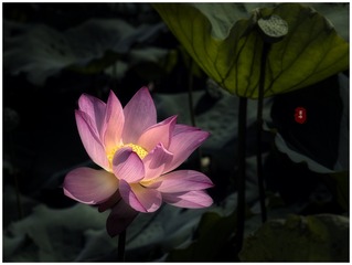 001