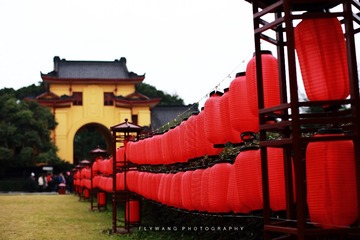 IMG_5456.jpg