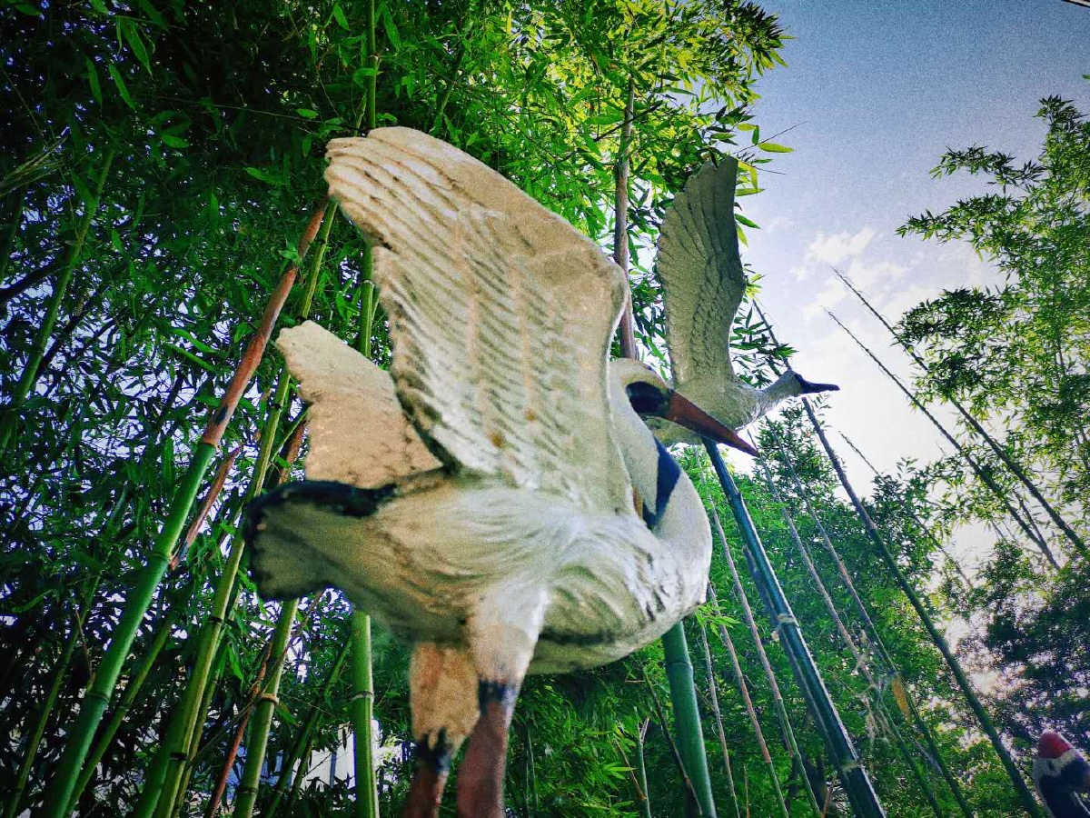 竹林鹤舞