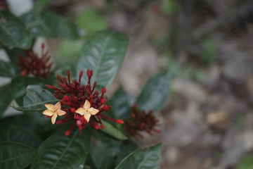 _IGP3648.JPG
