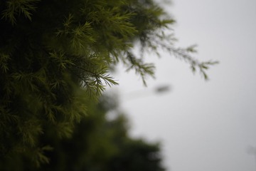 _IGP3695.JPG