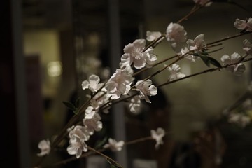 _IGP3752.JPG