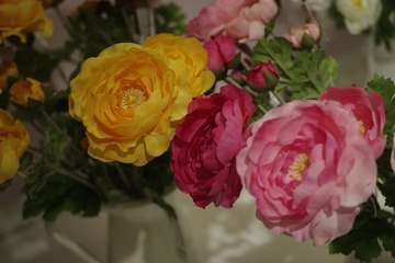 _IGP3770.JPG