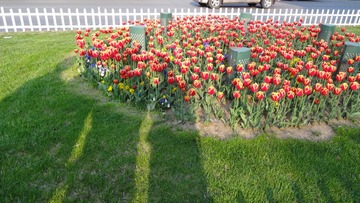 DSC00136.JPG