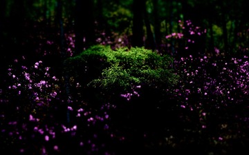 _DSC2027
