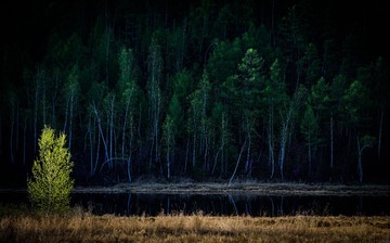 _DSC1838