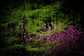 _DSC2126