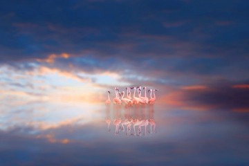 001