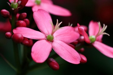 IMG_3628.JPG