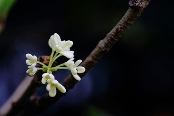 IMG_3613.JPG
