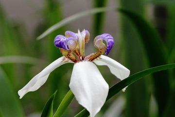 IMG_3887.JPG