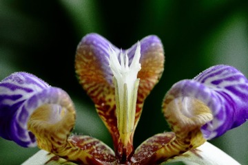 IMG_3898.JPG