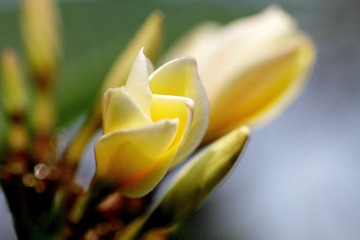 IMG_3569.JPG