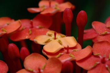 IMG_3877.JPG