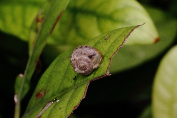 IMG_3911.JPG