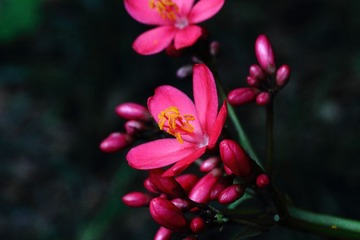 IMG_3903.JPG
