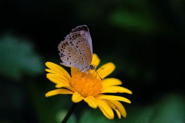 IMG_5391.jpg
