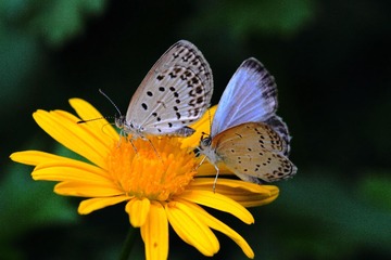 IMG_5587.jpg