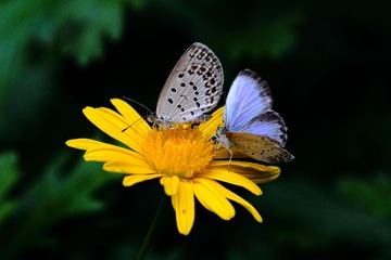 IMG_5589.JPG