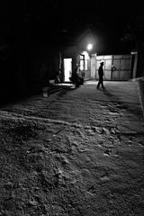 _DSC7033.jpg
