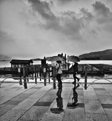 _DSC7203.jpg