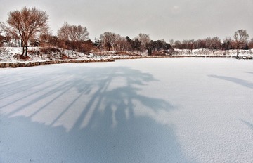 雪景