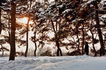 圆明园雪景