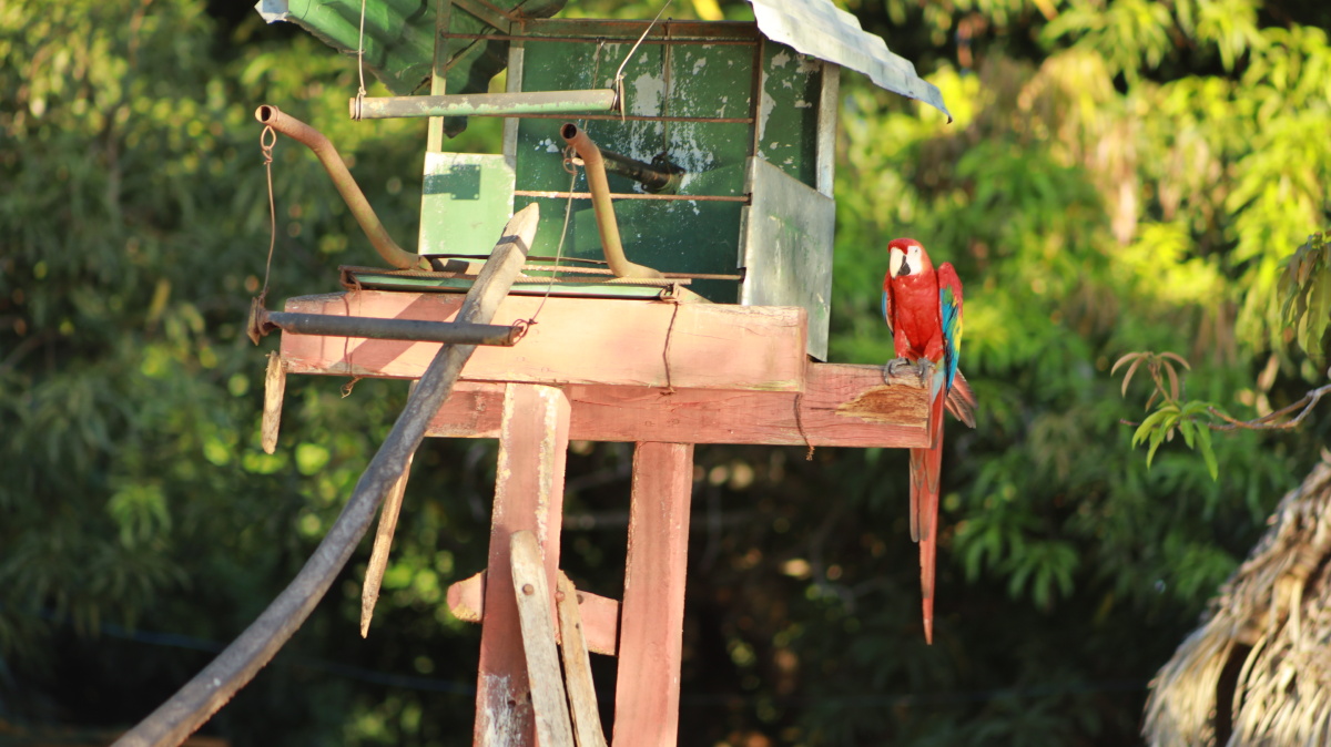 玻利维亚里韦周边休闲场所