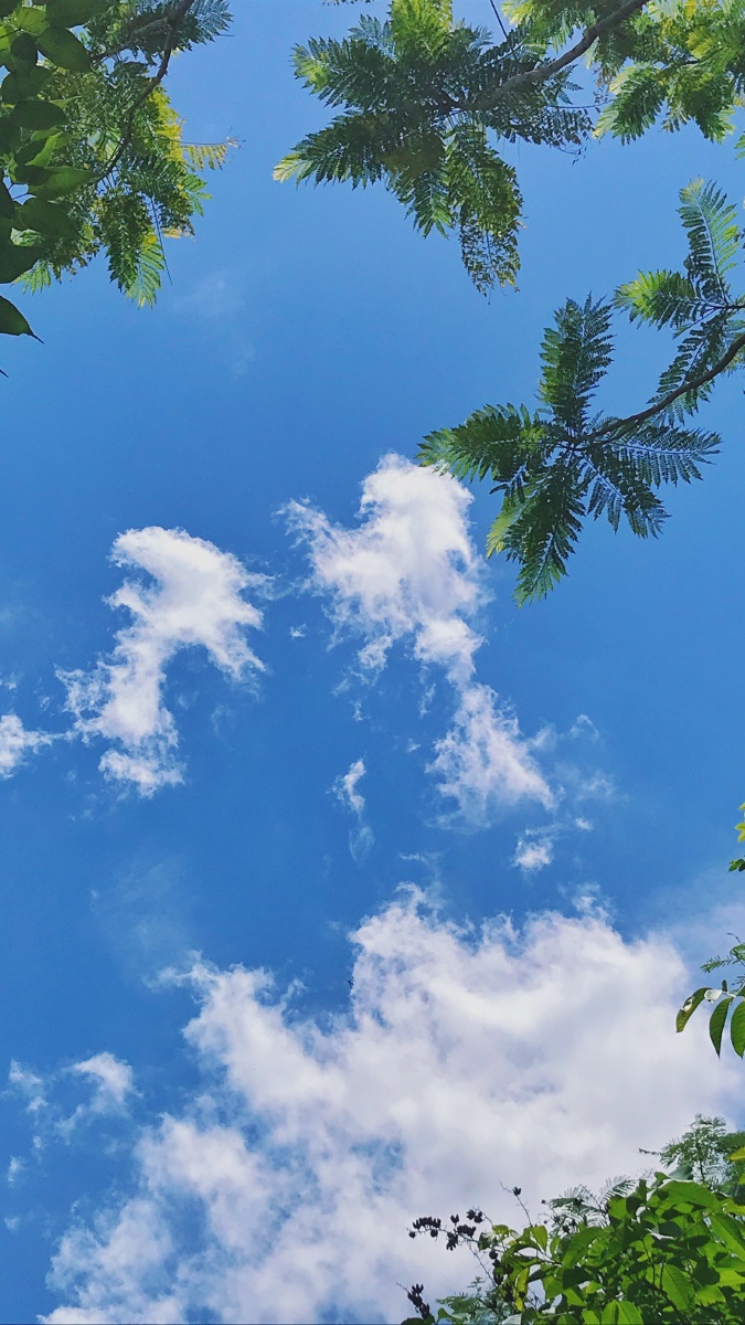 675_1200竖版 竖屏