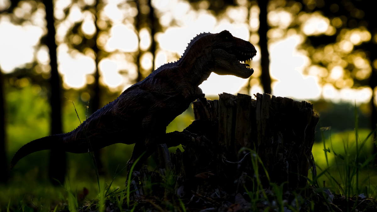 恐龙 暴龙 剪影