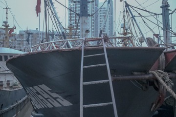 526431