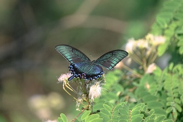 53A19281-935D-4F48-B80F-73C2DD77CC73/L0/001