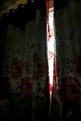 环境.jpg