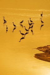 DSC_2122.jpg-1