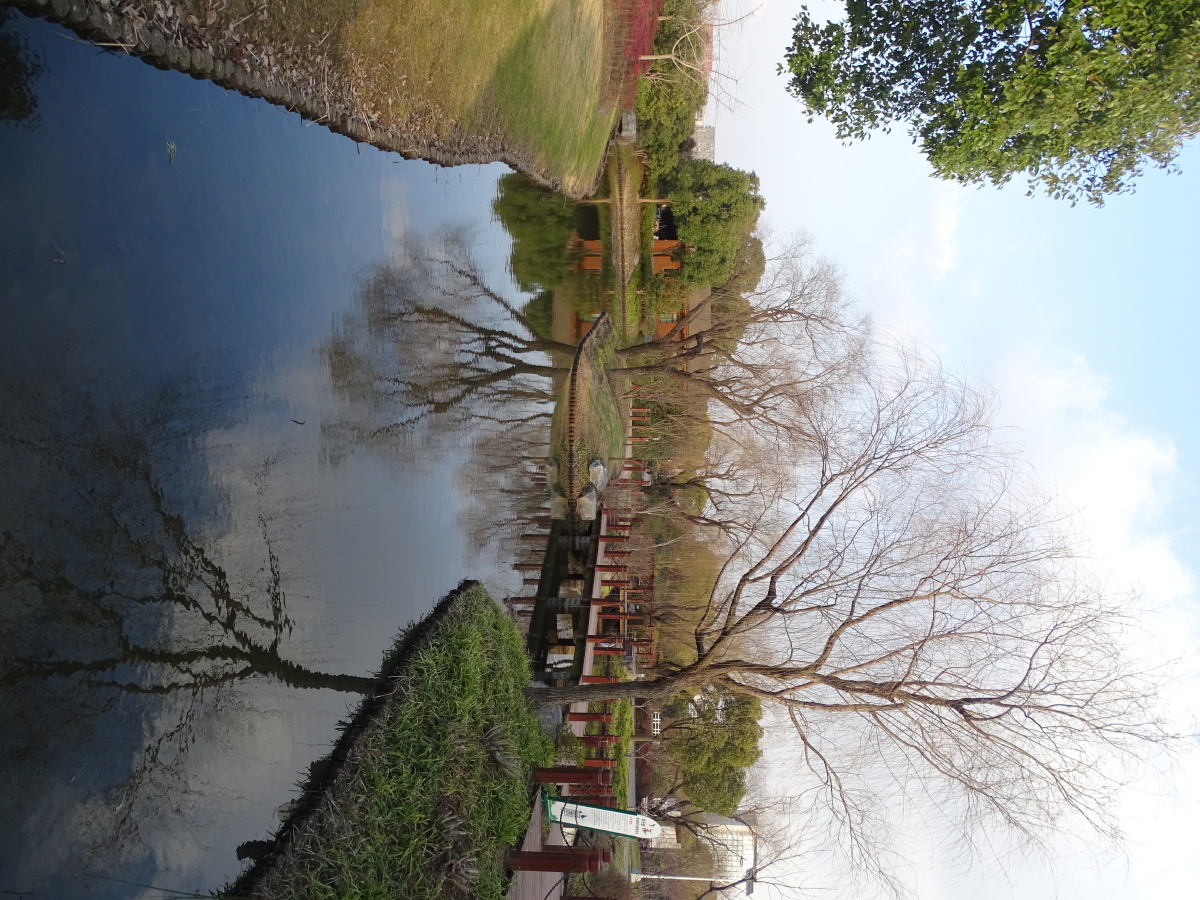 上海陈行公园随拍