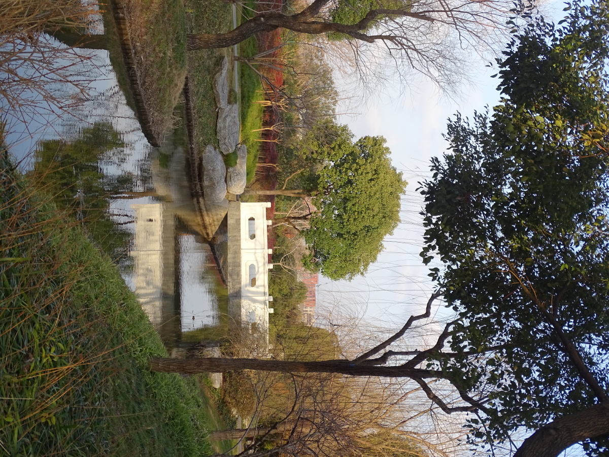 上海陈行公园随拍