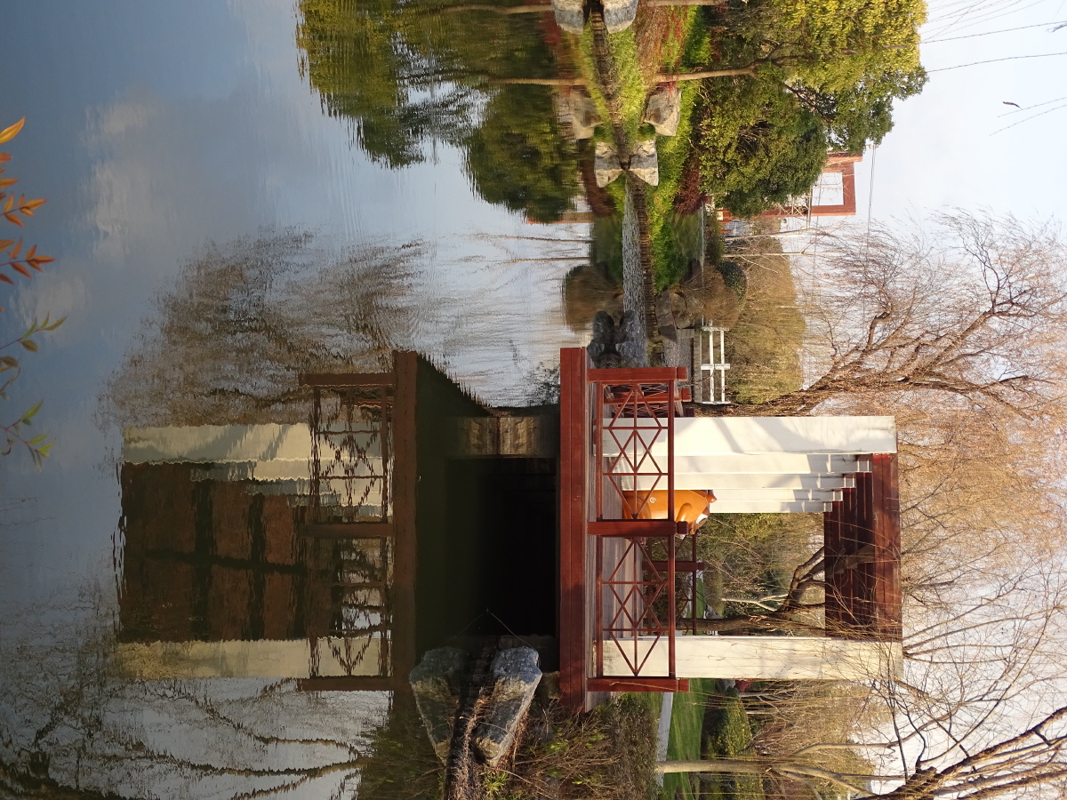 上海陈行公园随拍