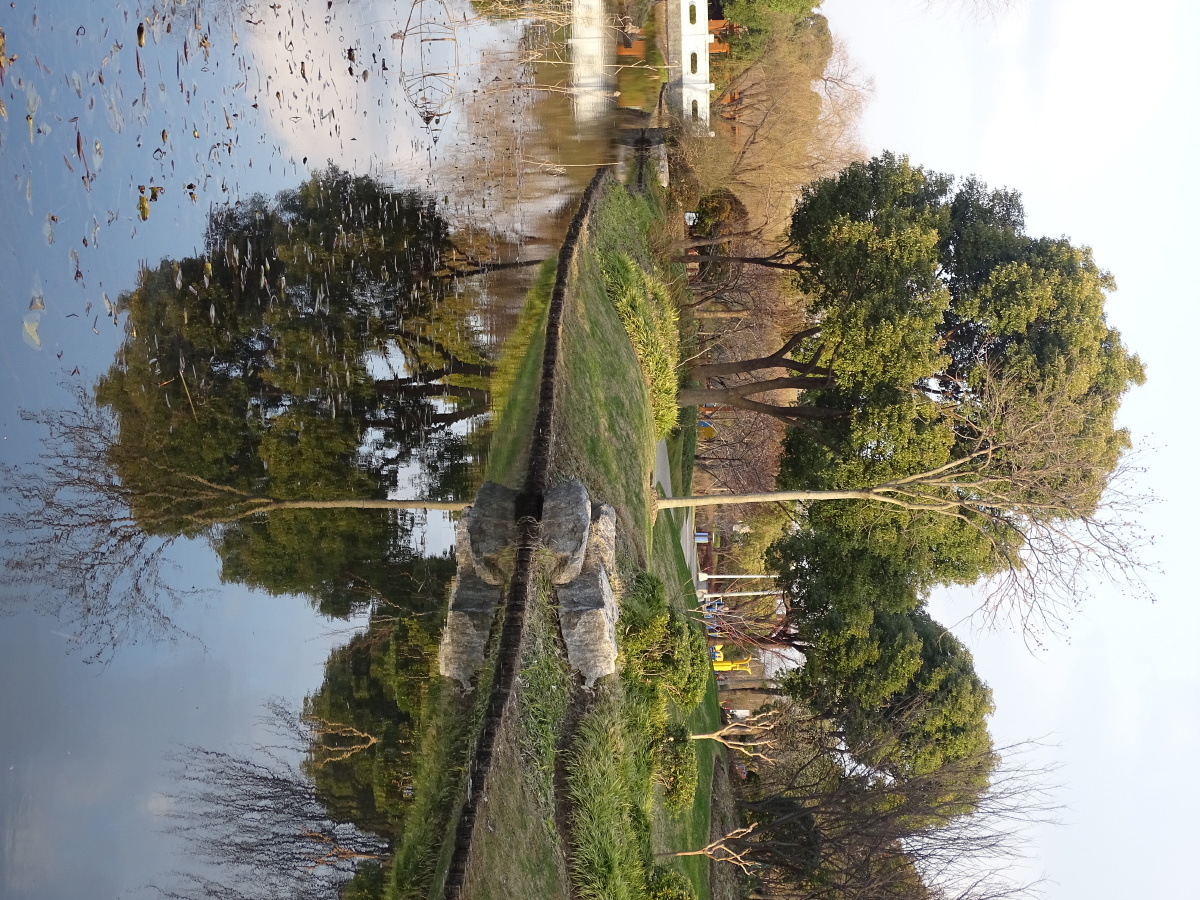 上海陈行公园随拍