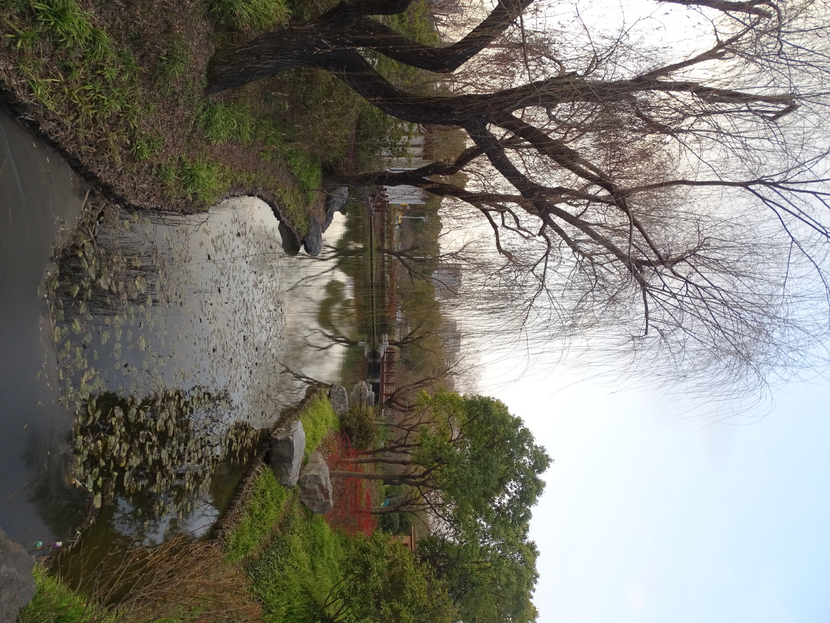 上海陈行公园随拍