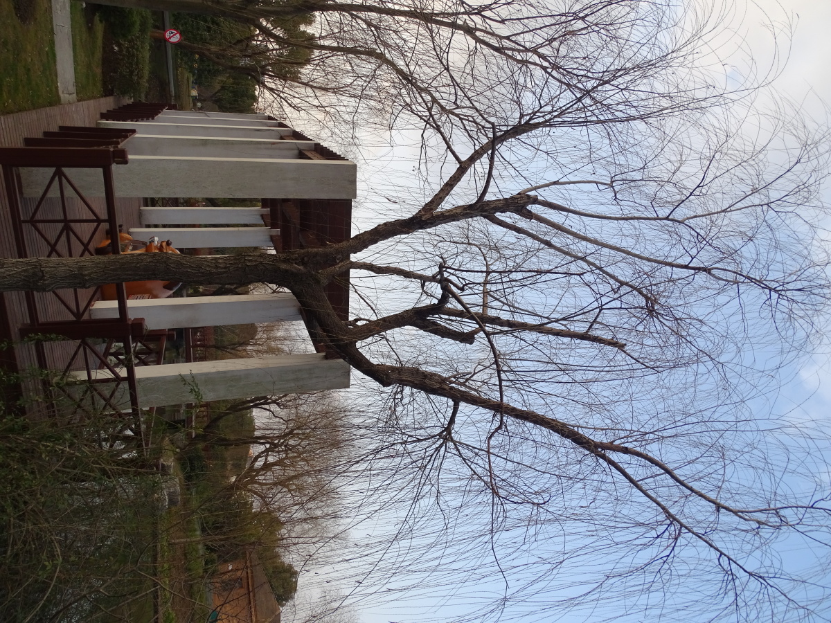 上海陈行公园随拍