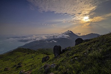 959016