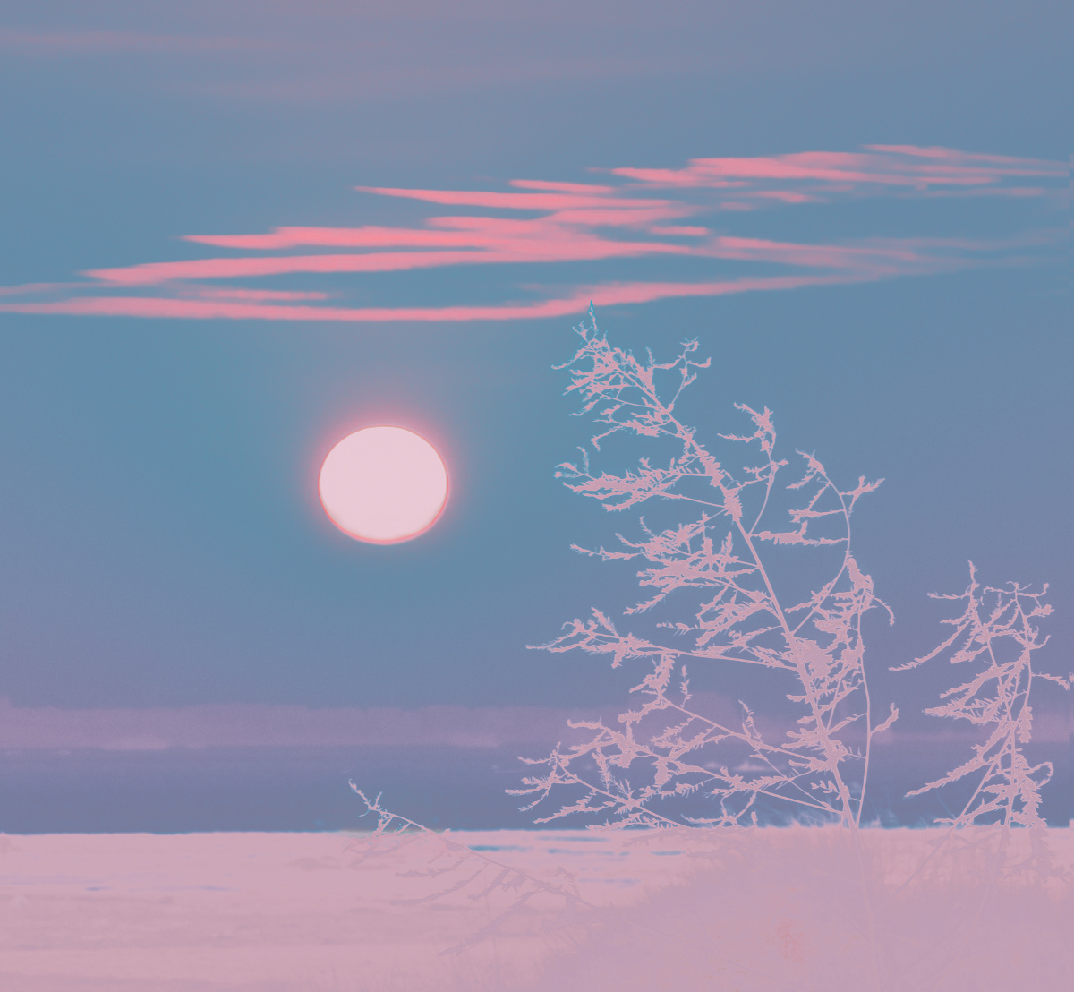 有关夕阳的色彩