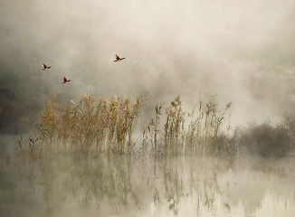 湿地的早晨 DSCN520474_HZP_HZP_HZP_调整大小