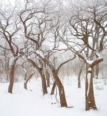 1IMG_6427_全景图1_调整大小